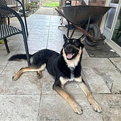 Photo of Fen