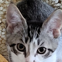 Photo of Sticky