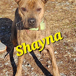 Photo of Shayna