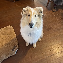 Photo of Clive
