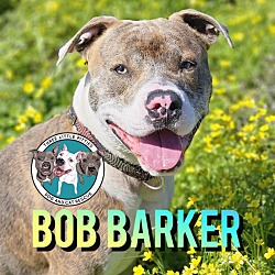 Thumbnail photo of Bob Barker A Country Boy #1