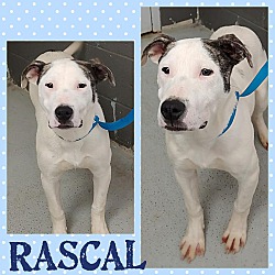 Photo of RASCAL