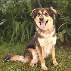 Photo of Lady Dogiva