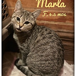 Photo of Marla