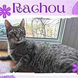 Thumbnail photo of Rachou #2