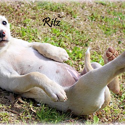 Thumbnail photo of Ritz ~ meet me! #3