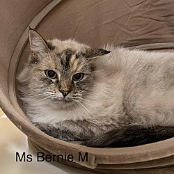 Thumbnail photo of Ms Bernie M #1