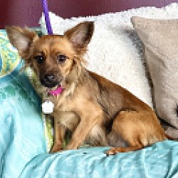 Photo of Mona