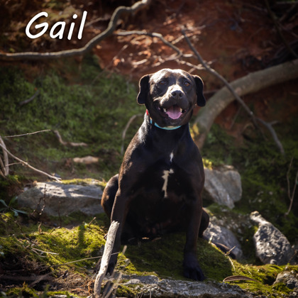 Thumbnail photo of Gail #2