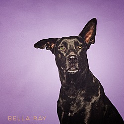 Thumbnail photo of Bella Ray #3