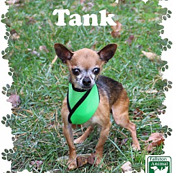Thumbnail photo of Tank #3