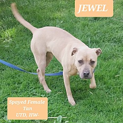 Thumbnail photo of Jewel #1