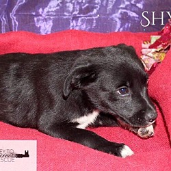 Thumbnail photo of Shyan #1