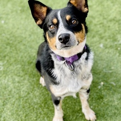Photo of Frodo