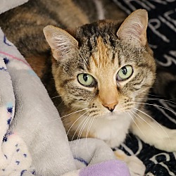 Photo of Sassy