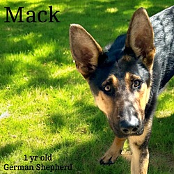 Thumbnail photo of MacK #4