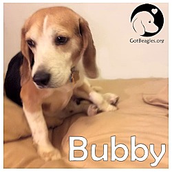 Thumbnail photo of Bubby #1