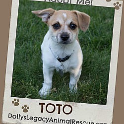 Thumbnail photo of TOTO #1