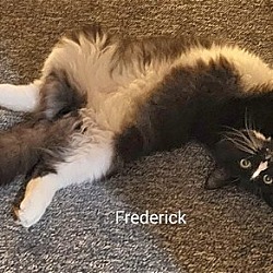 Thumbnail photo of Frederick #3