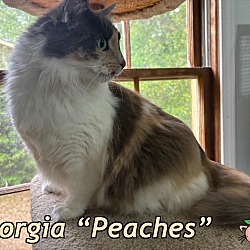Photo of Georgia “Peaches”