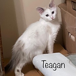 Thumbnail photo of Teagan #2