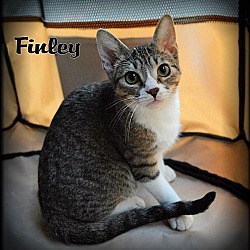 Thumbnail photo of Finley #2
