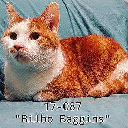 Photo of Bilbo Baggins