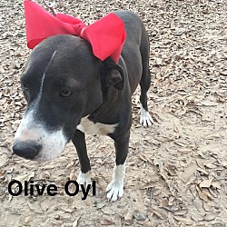 Thumbnail photo of Olive Oyl #2