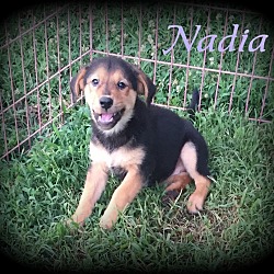 Thumbnail photo of Nadia #1