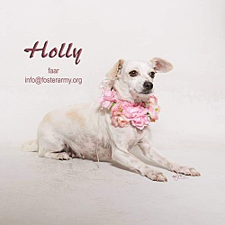 Photo of Holly