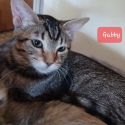 Thumbnail photo of Gabby #2