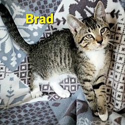 Thumbnail photo of Brad #4