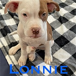 Photo of Lonnie