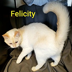 Photo of Felicity