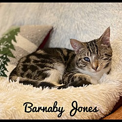 Thumbnail photo of Barnaby Jones #2