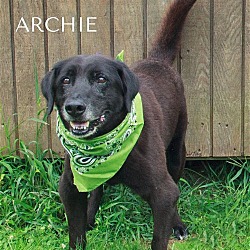 Photo of Archie