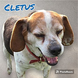 Photo of CLETUS