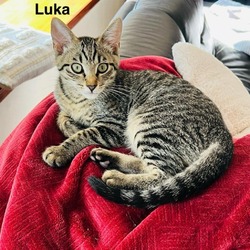 Thumbnail photo of Luka #3