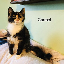 Photo of Carmel