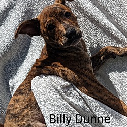 Photo of Billy Dunne