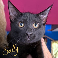 Thumbnail photo of Sally #1