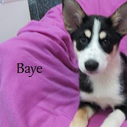 Thumbnail photo of Baye #1