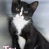 Photo of Tom