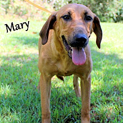 Thumbnail photo of Mary ~ meet me! #2