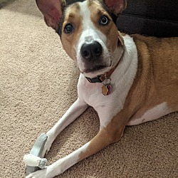 Photo of Kuiper