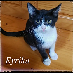 Photo of Eyrika
