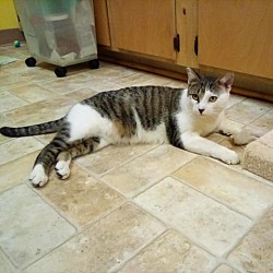 Photo of Thisbe