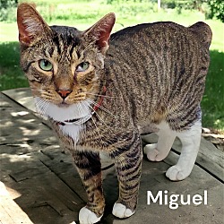 Thumbnail photo of Miguel #1