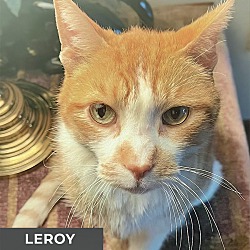 Photo of Leroy