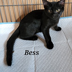 Thumbnail photo of Bess #2